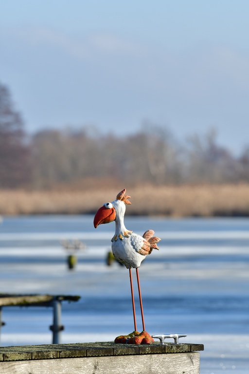 2026-01-08 Brandenburg an der Havel/Stadt/DSC_2259.JPG